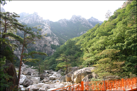 구룡연계곡 앙지다리에서 바라본 세존봉 